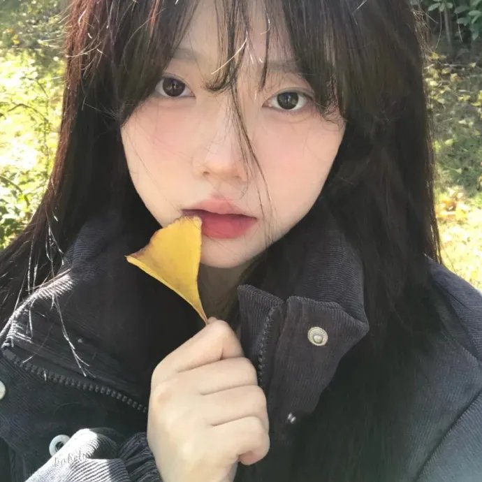 神秘女王蜂